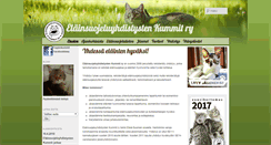 Desktop Screenshot of esyjenkummit.net